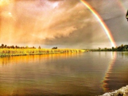Rainbows.jpg